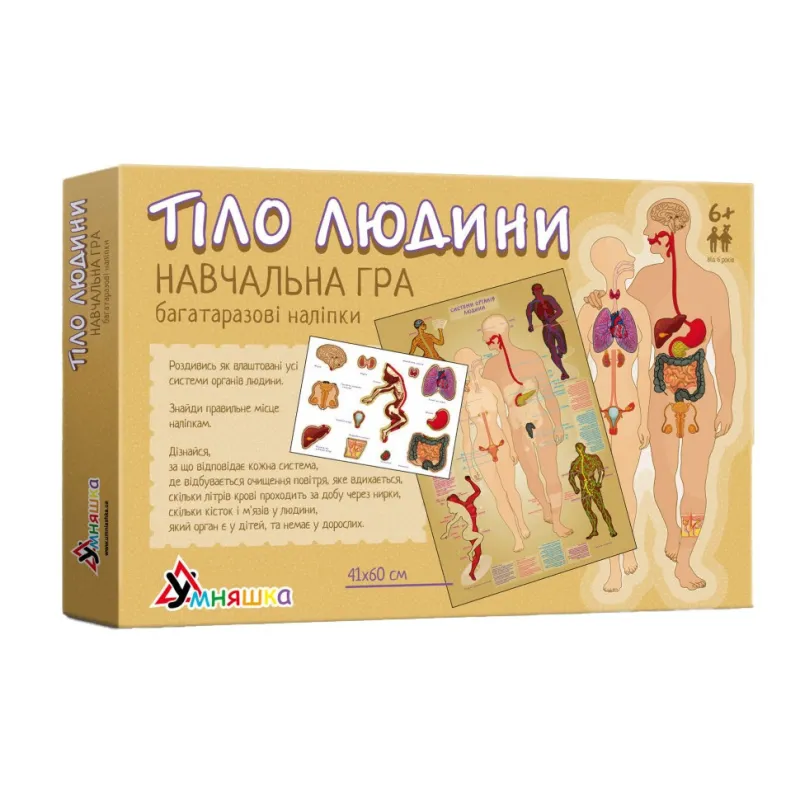 Дитяча навчальна гра з багаторазовими наклейками "Тіло людини" KP-004y укр. мовою