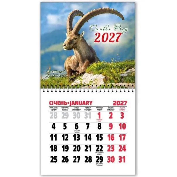 Календар на магніті відривний на 2027 рік Символ року (11х20 см)